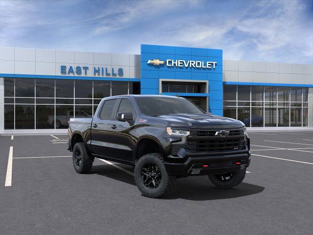 2024 Chevrolet Silverado 1500 Vehicle Photo in DOUGLASTON, NY 11362-1062