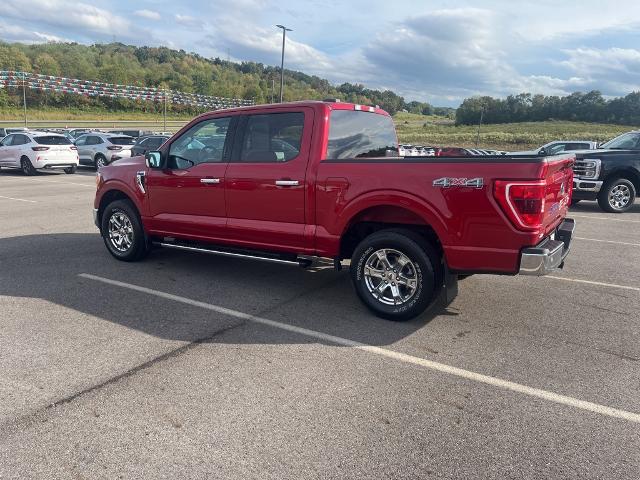 2021 Ford F-150 Vehicle Photo in Jackson, OH 45640-9766