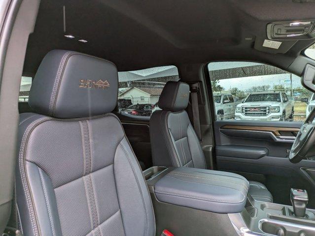 2023 Chevrolet Silverado 1500 Vehicle Photo in SELMA, TX 78154-1459