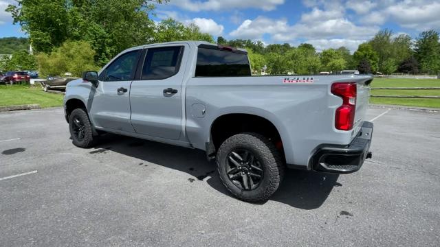 2024 Chevrolet Silverado 1500 Vehicle Photo in THOMPSONTOWN, PA 17094-9014