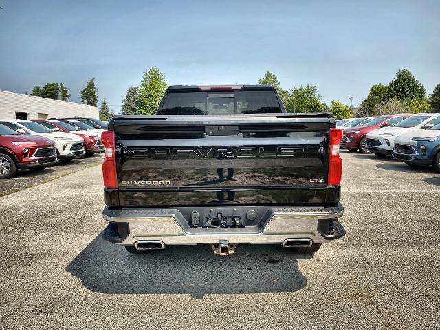 2019 Chevrolet Silverado 1500 Vehicle Photo in WILLIAMSVILLE, NY 14221-2883