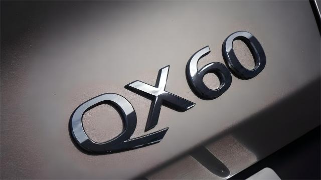 2023 INFINITI QX60 Vehicle Photo in Grapevine, TX 76051