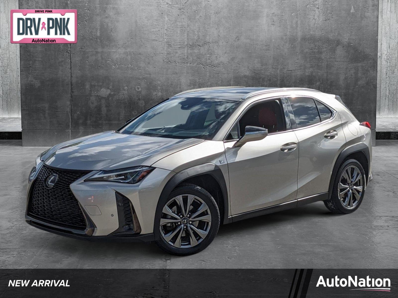 2019 Lexus UX 200 Vehicle Photo in Clearwater, FL 33761