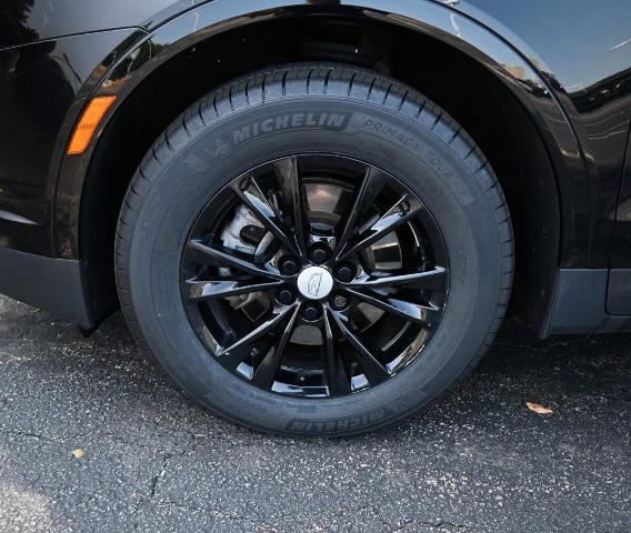 2021 Cadillac XT5 Vehicle Photo in NORWOOD, MA 02062-5222