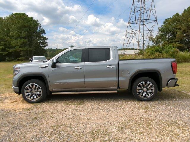 2025 GMC Sierra 1500 Vehicle Photo in ALBERTVILLE, AL 35950-0246