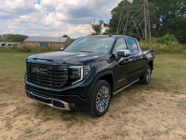 2025 GMC Sierra 1500 Vehicle Photo in ALBERTVILLE, AL 35950-0246