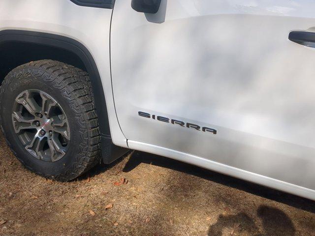 2025 GMC Sierra 1500 Vehicle Photo in ALBERTVILLE, AL 35950-0246