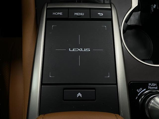 2022 Lexus RX 350 Vehicle Photo in Appleton, WI 54913