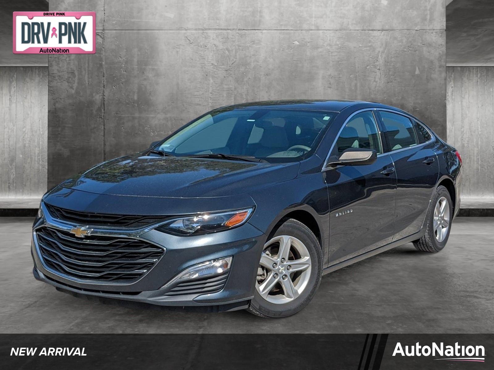 2019 Chevrolet Malibu Vehicle Photo in Jacksonville, FL 32256