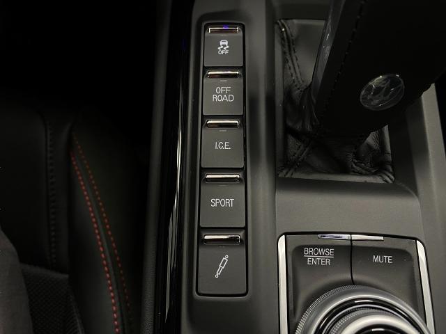 2024 Maserati Levante Vehicle Photo in Appleton, WI 54913