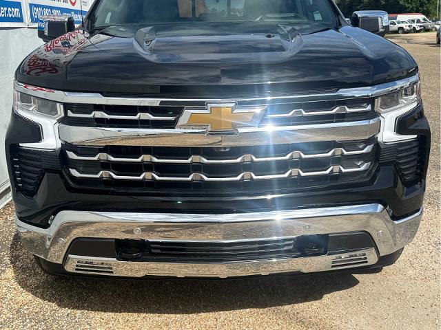 2024 Chevrolet Silverado 1500 Vehicle Photo in DUNN, NC 28334-8900