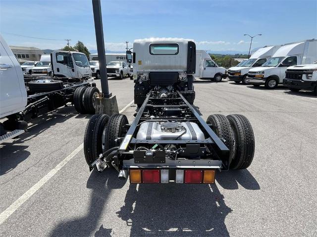 2025 Chevrolet Low Cab Forward 3500 Vehicle Photo in ALCOA, TN 37701-3235