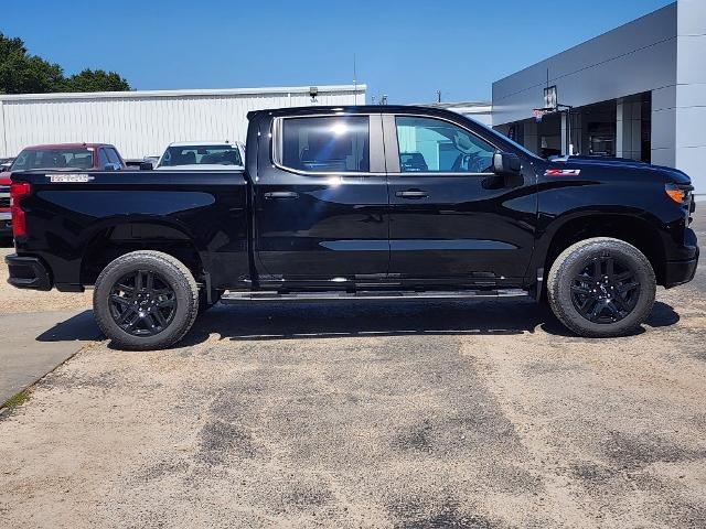 2025 Chevrolet Silverado 1500 Vehicle Photo in PARIS, TX 75460-2116