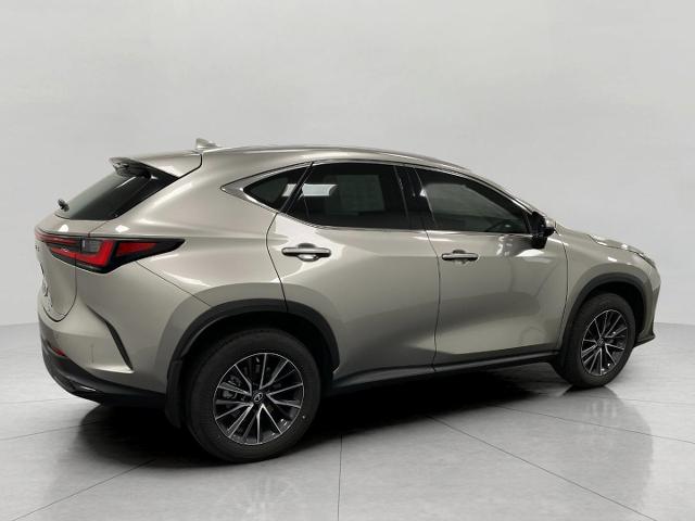 2022 Lexus NX 350 Vehicle Photo in Appleton, WI 54913