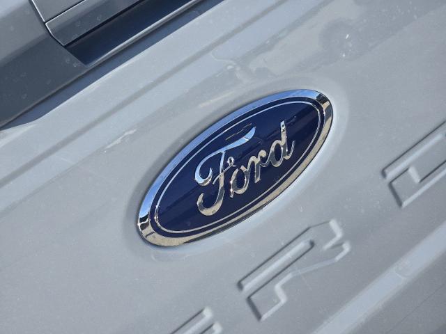 2024 Ford Super Duty F-250 SRW Vehicle Photo in STEPHENVILLE, TX 76401-3713