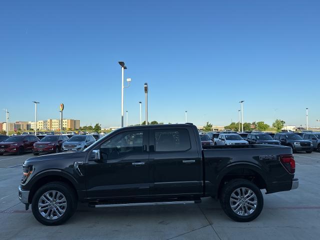 2024 Ford F-150 Vehicle Photo in Terrell, TX 75160