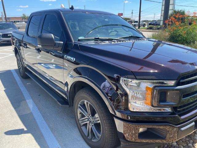 2020 Ford F-150 Vehicle Photo in San Antonio, TX 78230