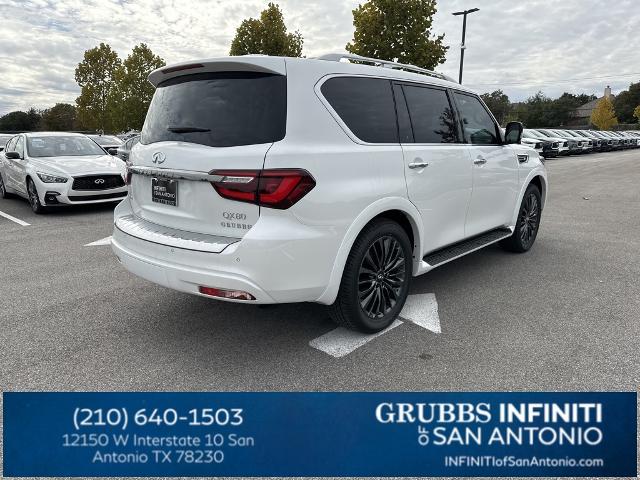 2024 INFINITI QX80 Vehicle Photo in San Antonio, TX 78230