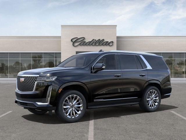 2024 Cadillac Escalade Vehicle Photo in APPLETON, WI 54914-4656