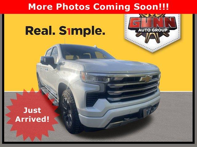 2023 Chevrolet Silverado 1500 Vehicle Photo in SELMA, TX 78154-1460