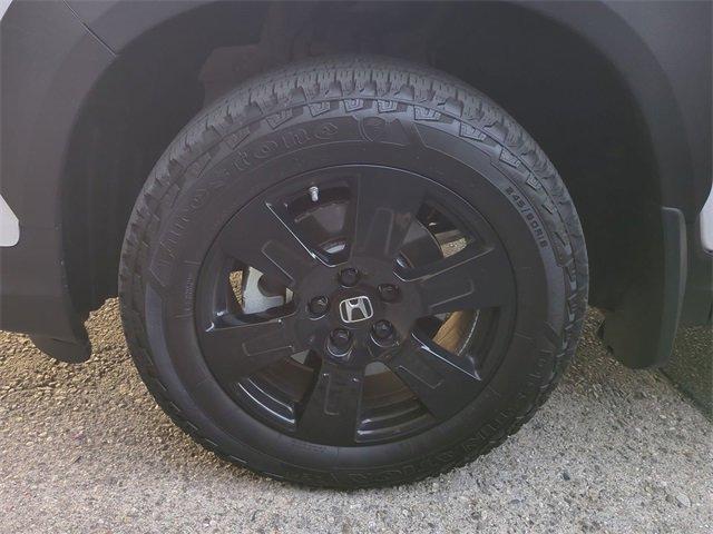 2022 Honda Pilot Vehicle Photo in PASADENA, CA 91107-3803