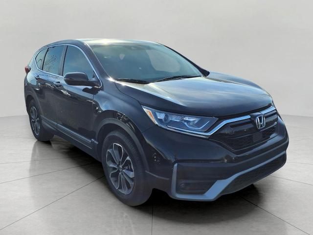 2020 Honda CR-V Vehicle Photo in Oshkosh, WI 54904