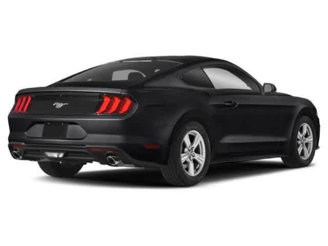 2021 Ford Mustang Vehicle Photo in POMPANO BEACH, FL 33064-7091