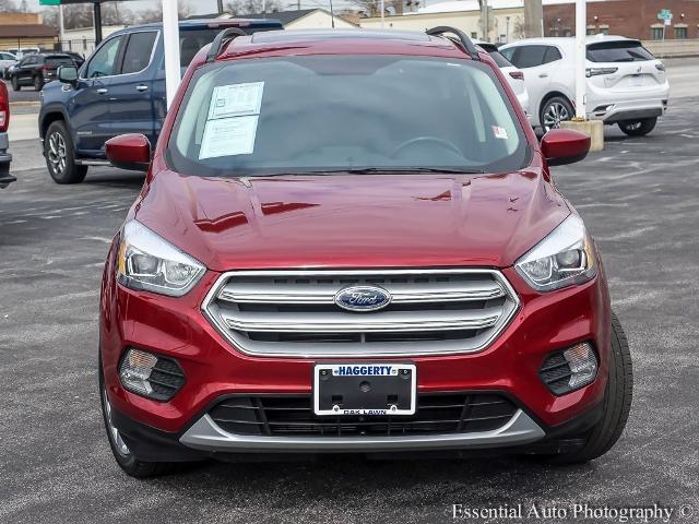 2019 Ford Escape Vehicle Photo in OAK LAWN, IL 60453-2517