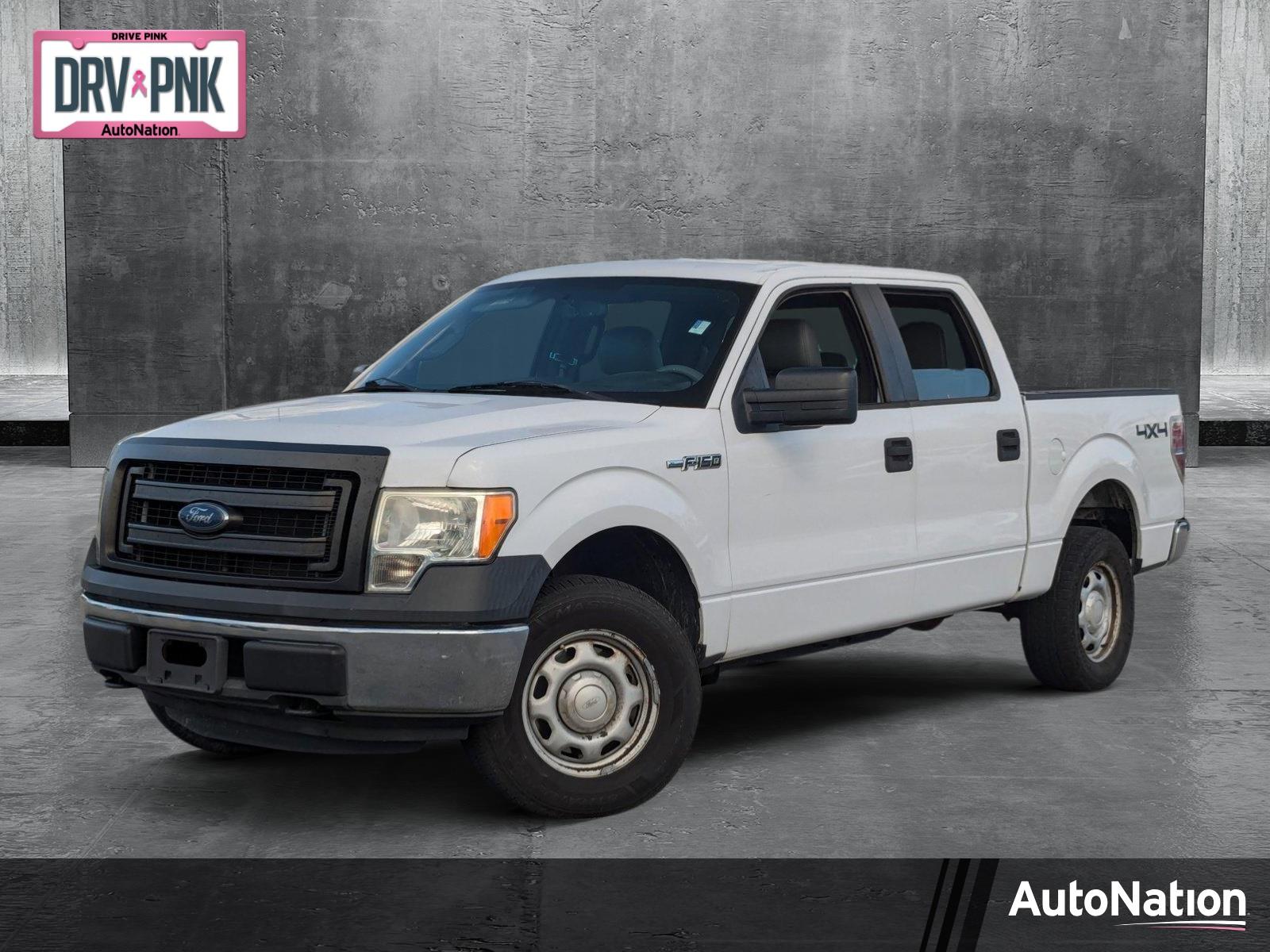 2014 Ford F-150 Vehicle Photo in St. Petersburg, FL 33713