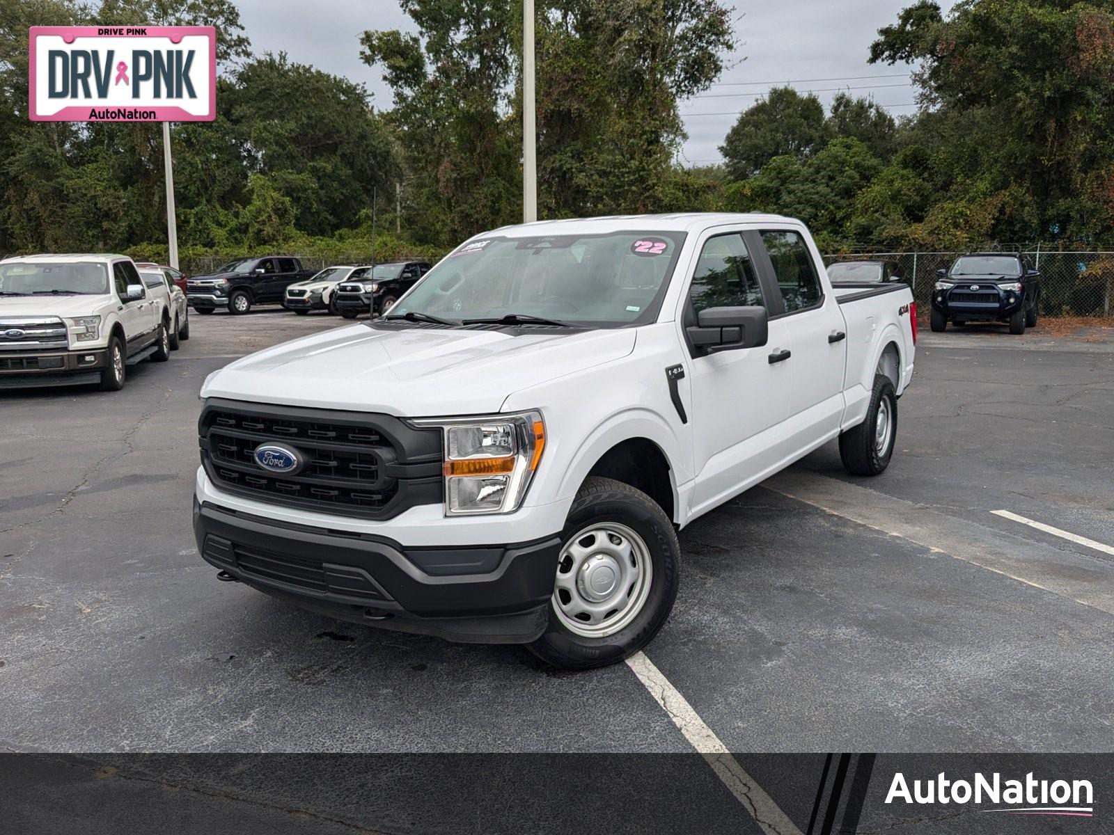 2022 Ford F-150 Vehicle Photo in Panama City, FL 32401