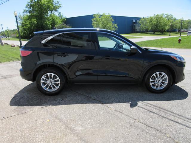 2022 Ford Escape Vehicle Photo in ELYRIA, OH 44035-6349