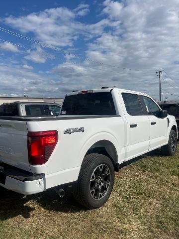 2024 Ford F-150 Vehicle Photo in STEPHENVILLE, TX 76401-3713