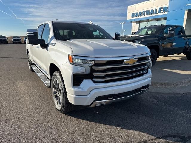 2025 Chevrolet Silverado 1500 Vehicle Photo in GLENWOOD, MN 56334-1123