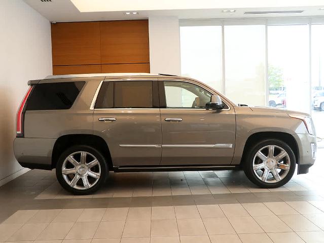 2019 Cadillac Escalade Vehicle Photo in LIBERTYVILLE, IL 60048-3287