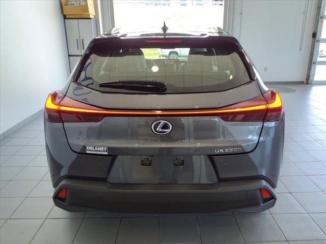 2022 Lexus UX Vehicle Photo in INDIANA, PA 15701-1897