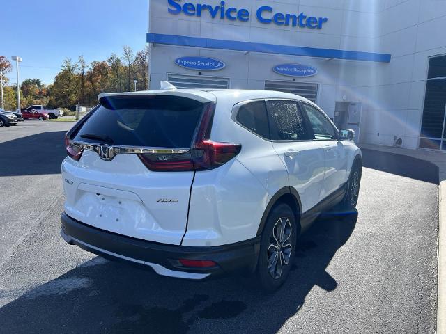 2021 Honda CR-V Vehicle Photo in INDIANA, PA 15701-1897