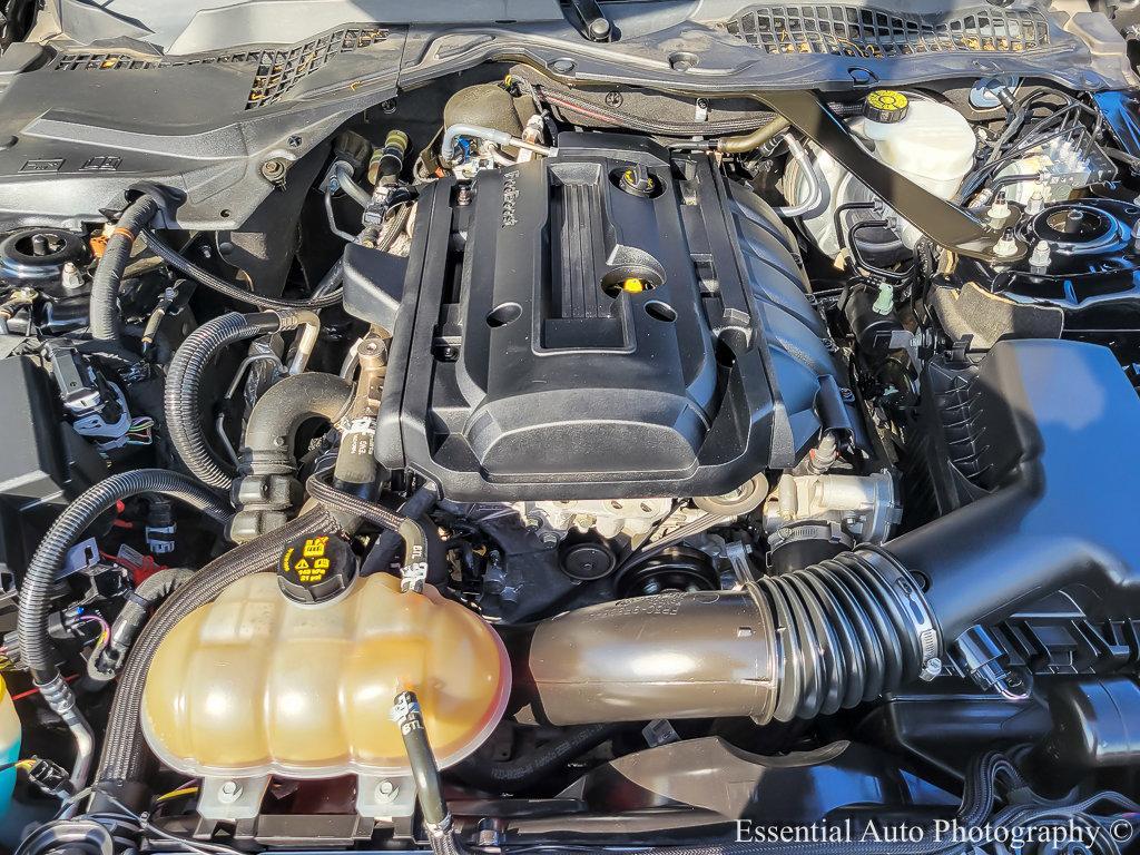 2019 Ford Mustang Vehicle Photo in Saint Charles, IL 60174