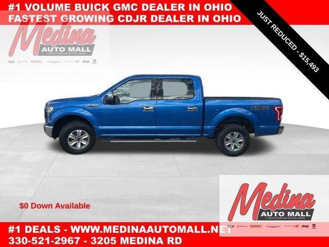 2015 Ford F-150 Vehicle Photo in MEDINA, OH 44256-9631