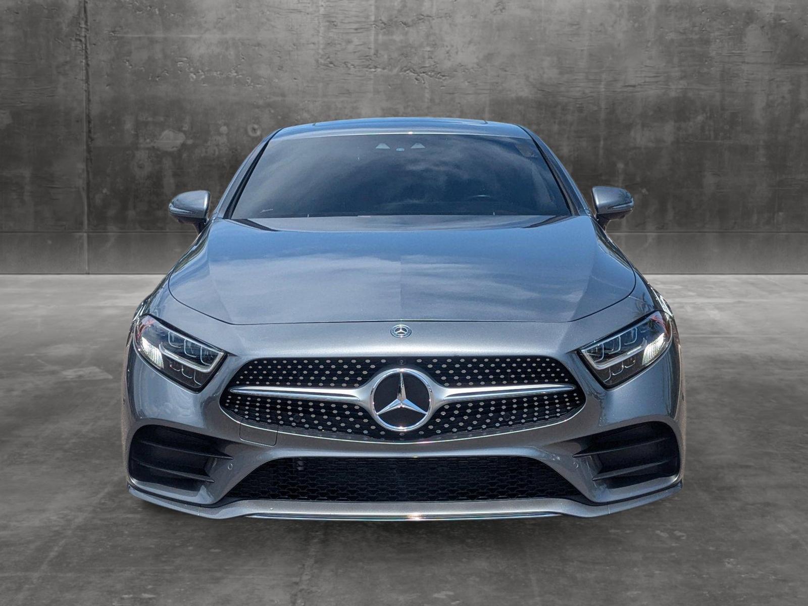 2019 Mercedes-Benz CLS Vehicle Photo in Wesley Chapel, FL 33544