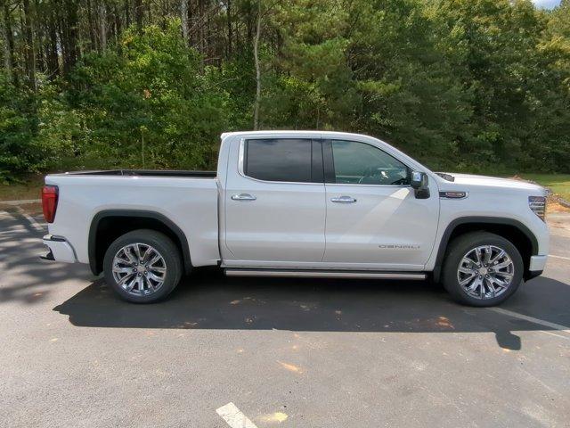 2025 GMC Sierra 1500 Vehicle Photo in ALBERTVILLE, AL 35950-0246