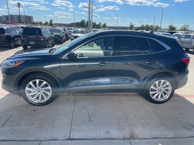 2022 Ford Escape Vehicle Photo in TERRELL, TX 75160-3007