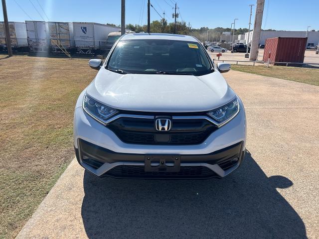 2022 Honda CR-V Vehicle Photo in Denison, TX 75020