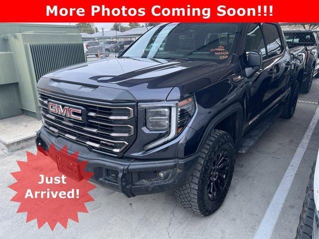 2023 GMC Sierra 1500 Vehicle Photo in SELMA, TX 78154-1459