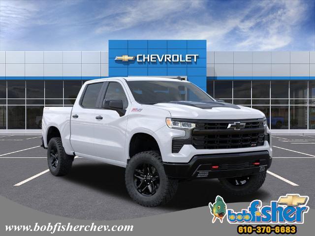 2024 Chevrolet Silverado 1500 Vehicle Photo in READING, PA 19605-1203