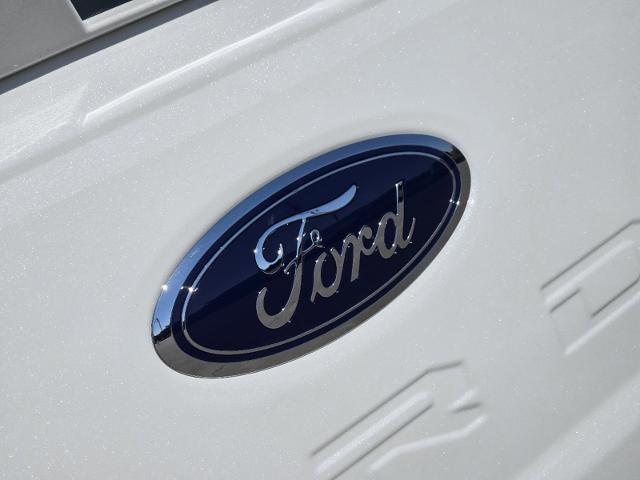 2024 Ford Super Duty F-250 SRW Vehicle Photo in STEPHENVILLE, TX 76401-3713