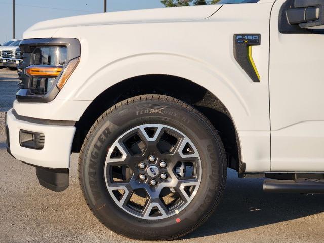 2024 Ford F-150 Vehicle Photo in Pilot Point, TX 76258