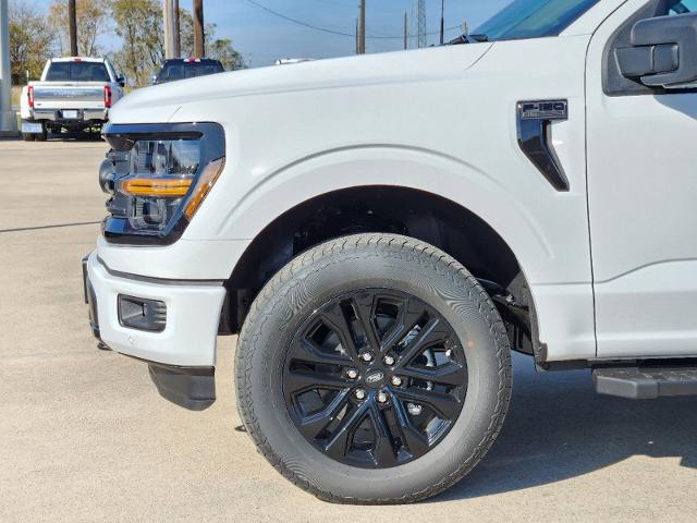 2024 Ford F-150 Vehicle Photo in Pilot Point, TX 76258