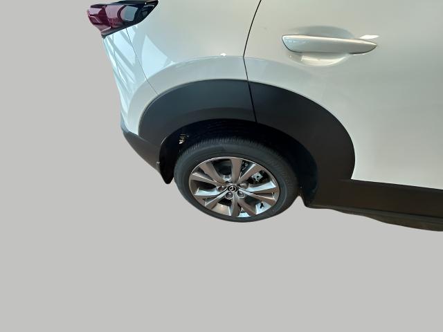 2024 Mazda CX-30 Vehicle Photo in Green Bay, WI 54304