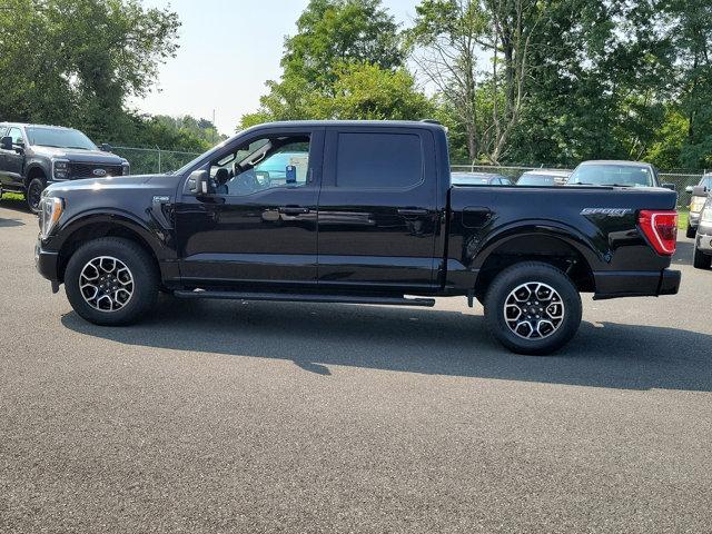 2022 Ford F-150 Vehicle Photo in Boyertown, PA 19512