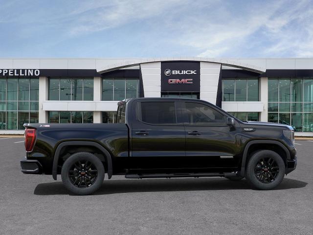 2025 GMC Sierra 1500 Vehicle Photo in WILLIAMSVILLE, NY 14221-2883